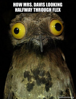Weird Stuff I do Potoo