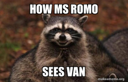 Evil Plotting Raccoon