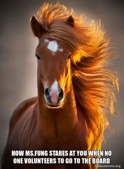 Ridiculously photogenic horse