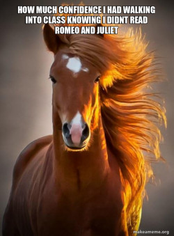 Ridiculously photogenic horse