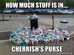 Canadian Football Fans meme