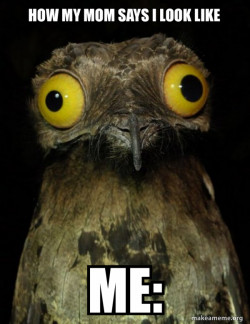 Weird Stuff I do Potoo