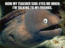 Bad Joke Eel