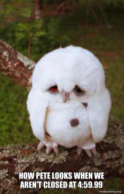 Sad Owl