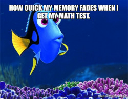 Dory from Nemo  (5 second memory)