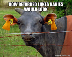 Hairless Cow