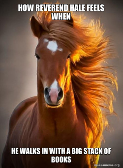 Ridiculously photogenic horse