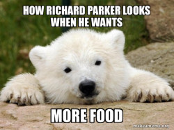 Popular Opinion Bear
