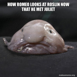 Blobfish