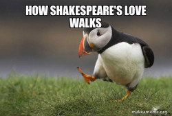 Unpopular Opinion Puffin