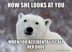 Popular Opinion Polar Bear