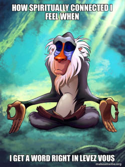 Rafiki Meditating - Lion King