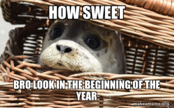 Impending Doom Seal