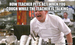 Teacher pet 