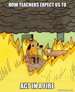 This Is Fine