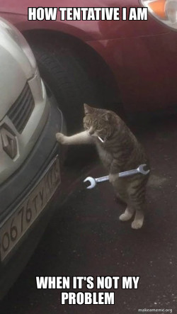 Mechanic Cat