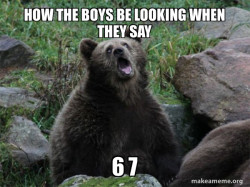 Sarcastic Bear