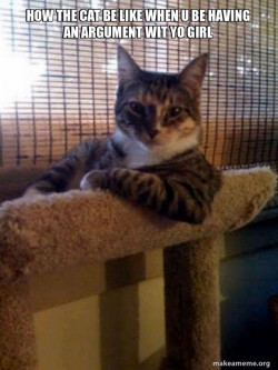 The Most Interesting Cat in the World