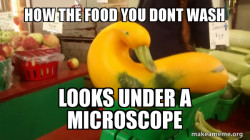 Gourd Advice Mallard