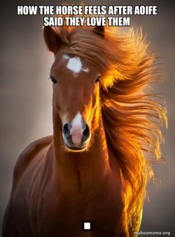 Ridiculously photogenic horse