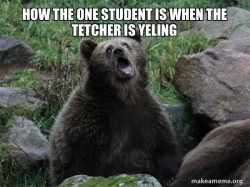 Sarcastic Bear