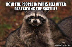 Evil Plotting Raccoon