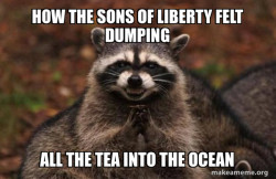 Evil Plotting Raccoon