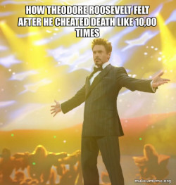 Tony Stark Success