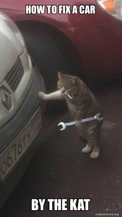 Mechanic Cat