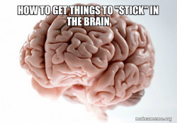 Scumbag Brain