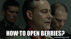 Mein Fuhrer