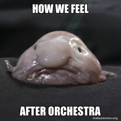 Blobfish