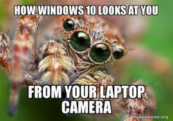 Hipster Spider
