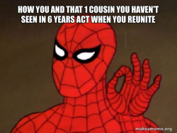 Spiderman - Care factor Zero