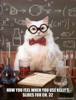 Chemistry Cat