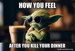 Cool Yoda (Sunglasses)