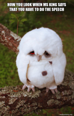 Sad Owl