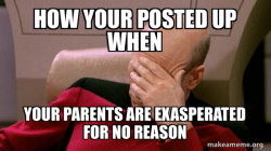 Picard Facepalm