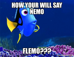 Dory from Nemo  (5 second memory)