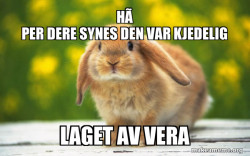 Regretful Rabbit