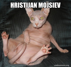 Hairless Cat