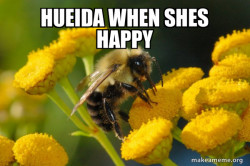 Good Guy Bee