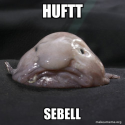 Blobfish