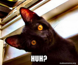 Overly Attached Cat