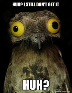 Weird Stuff I do Potoo
