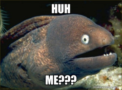 Bad Joke Eel