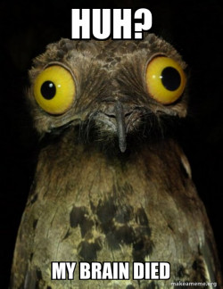 Weird Stuff I do Potoo