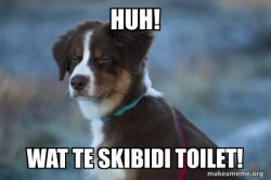 Doggy Doggy