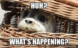 Impending Doom Seal
