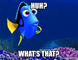 Dory from Nemo  (5 second memory)